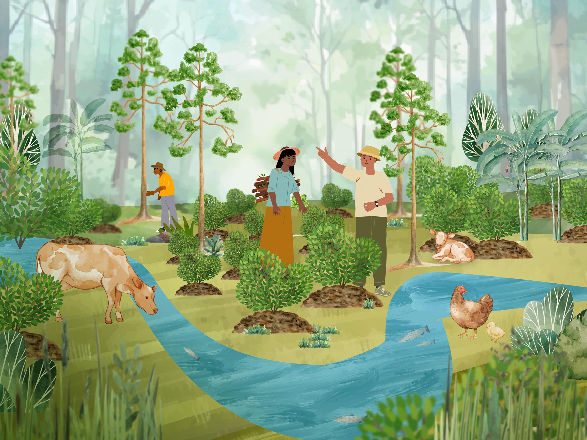 Agroforestry 101: Enhancing Livelihoods and Ecosystem Resilience Agro101